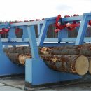 Сортировка бревен как ключевой этап в производстве древесины